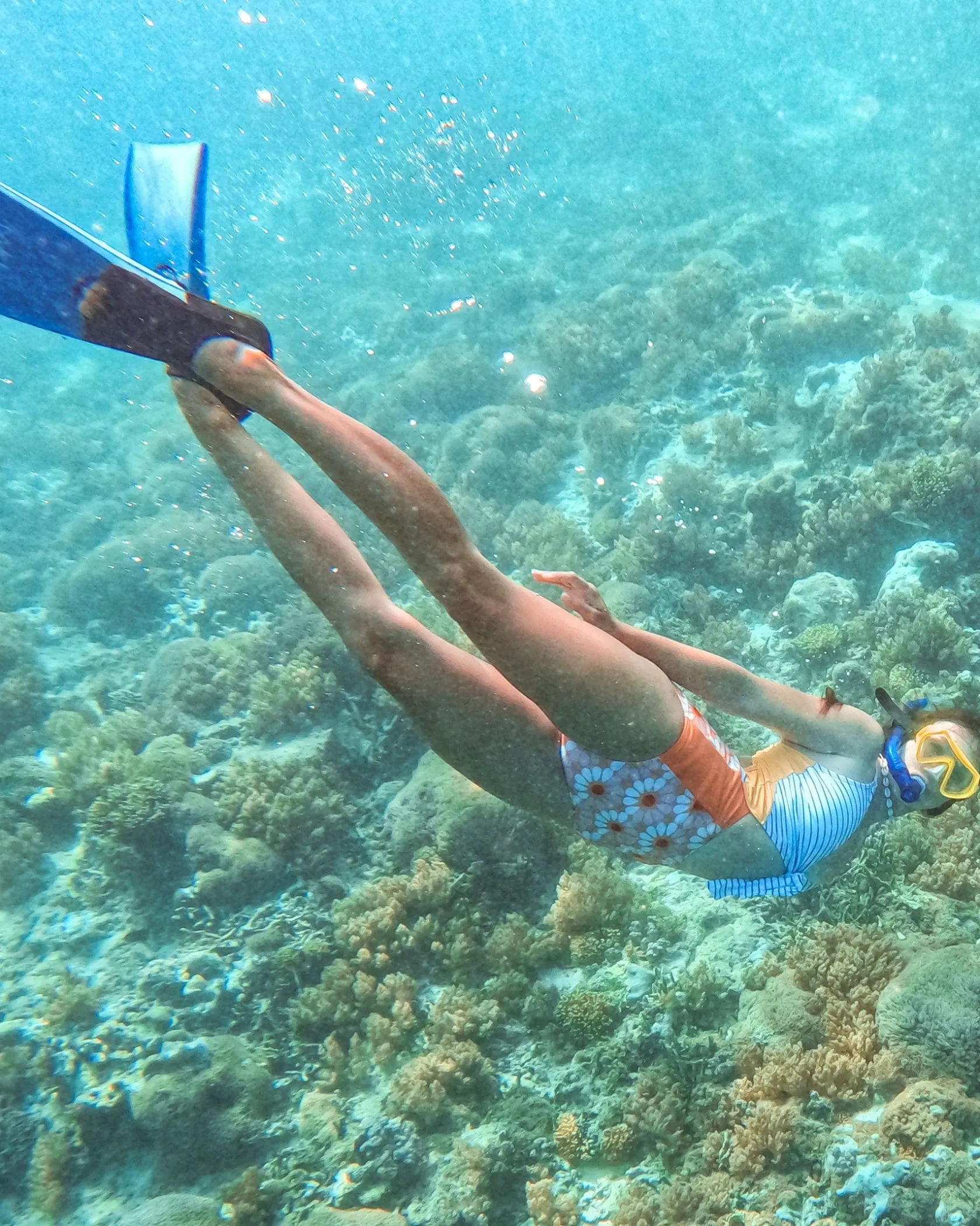 Nani Swimwear One Pieces|High Tide One Piece